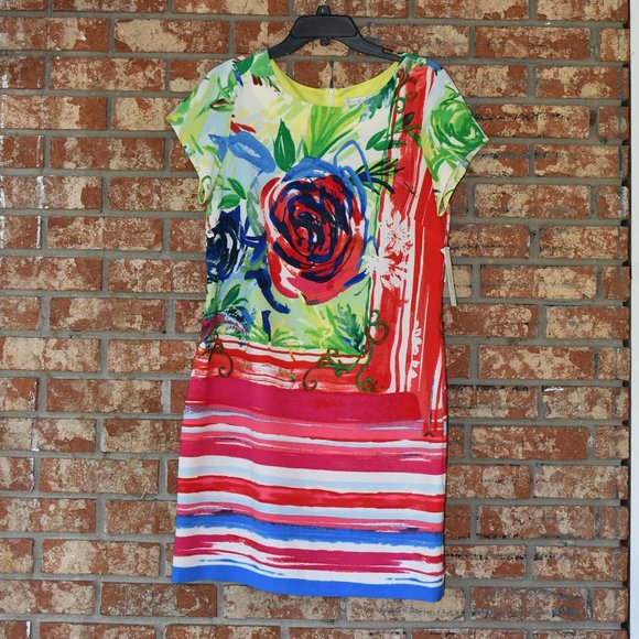 Signature by Robbie Bee Dresses & Skirts - Signature by Robbie Bee Multicolored Dress